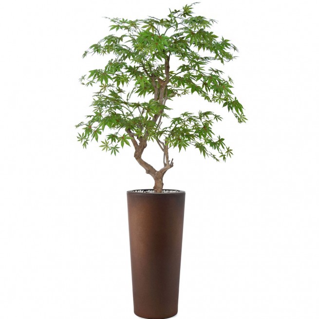 Planta semi-artificiala Ila, Maple Stylish Multicolor - 180 cm